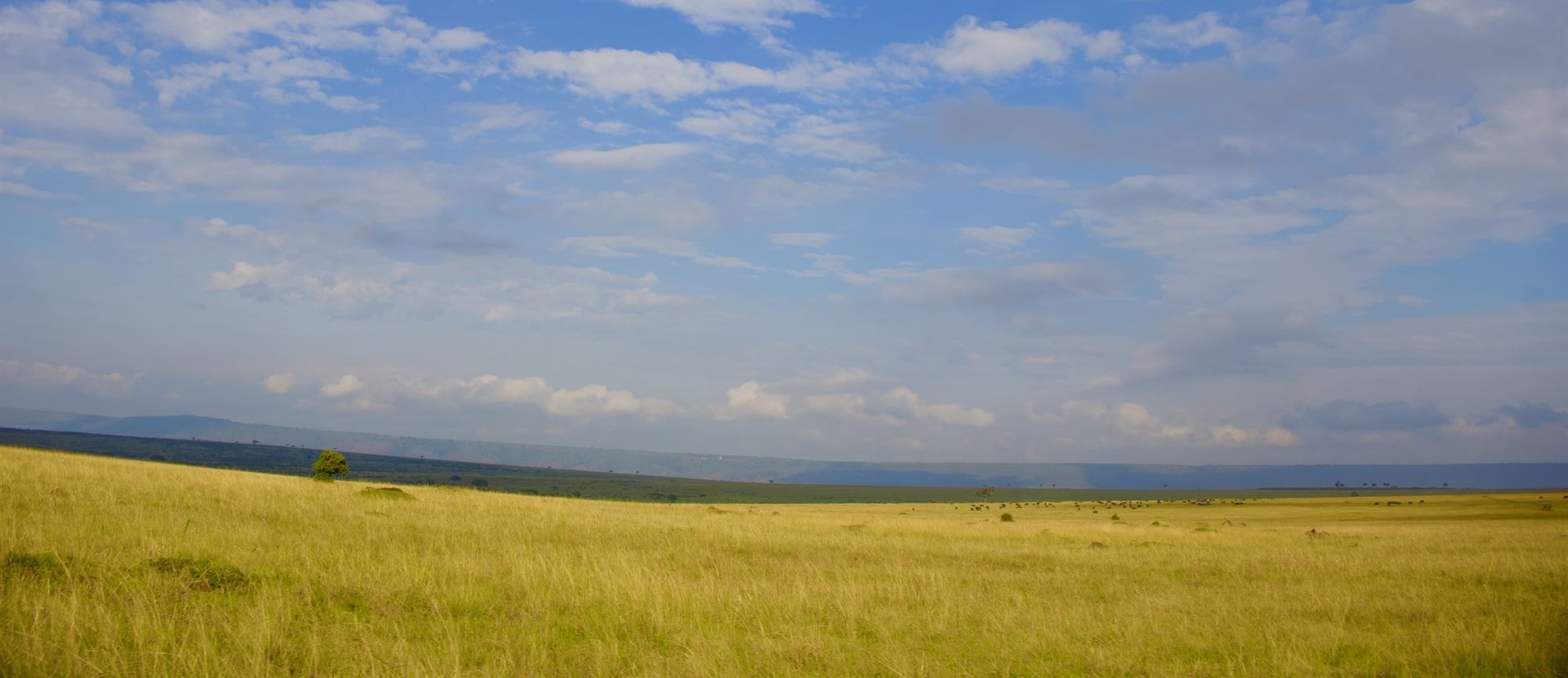 Wide open grassland under a big sky, with a low ridge along the horizon