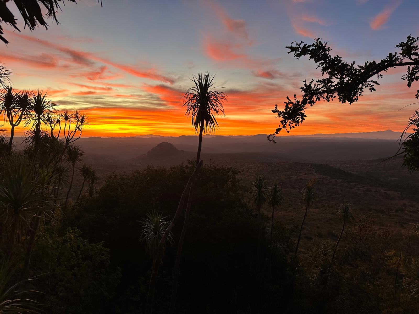 Sunset over the Kenyan plains, trees silhouetted in the foreground and hills along the far horizon